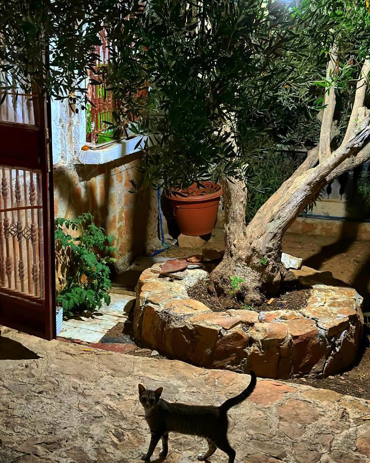 Auberge Dalia Chefchaouen Εξωτερικό φωτογραφία