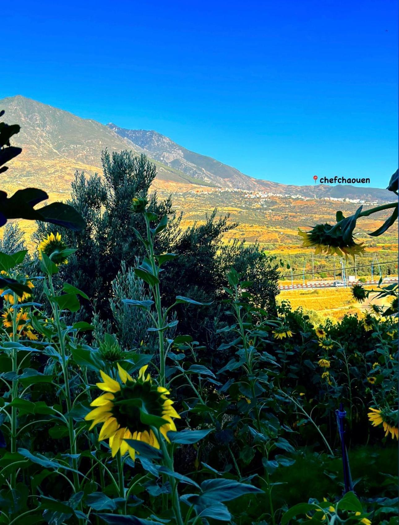 Auberge Dalia Chefchaouen Εξωτερικό φωτογραφία